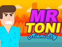 Mr Toni Miami City