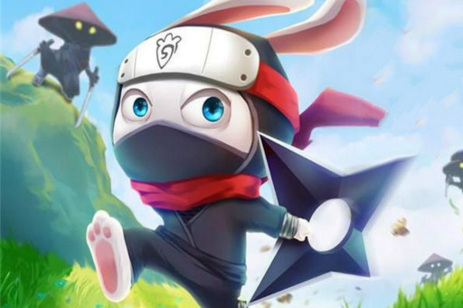 Ninja Rabbit